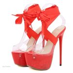 Modèle de chaussures à talons pour un look séduisant