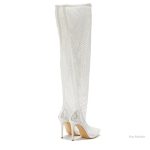 Élégantes chaussures transparentes à talons aigus
